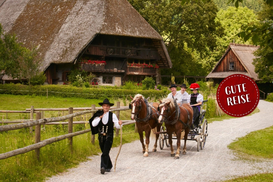 278278371-397591462372939-4660133376933987711-n