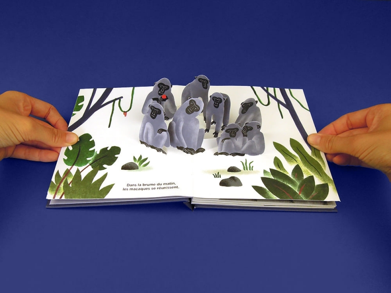 julie-escoriza-popup